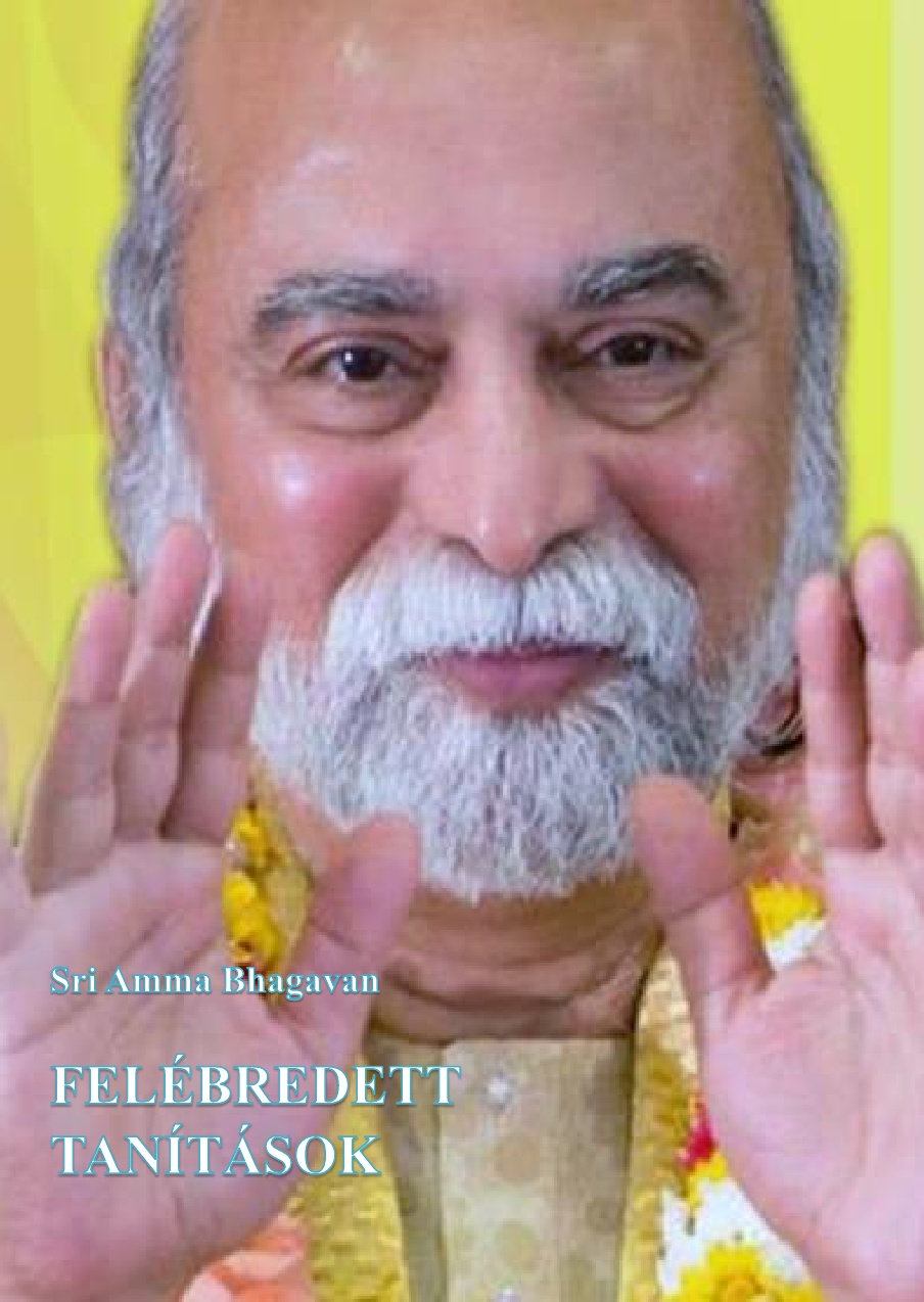 Sri Amma Bhagavan: Felébredett tanítások PDF