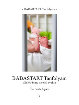 Vida Ágnes: Babastart tanfolyam PDF